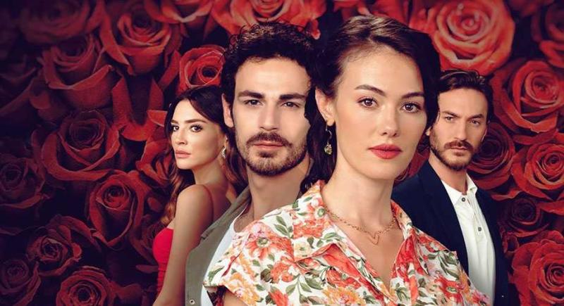 حكاية وردة ١٣