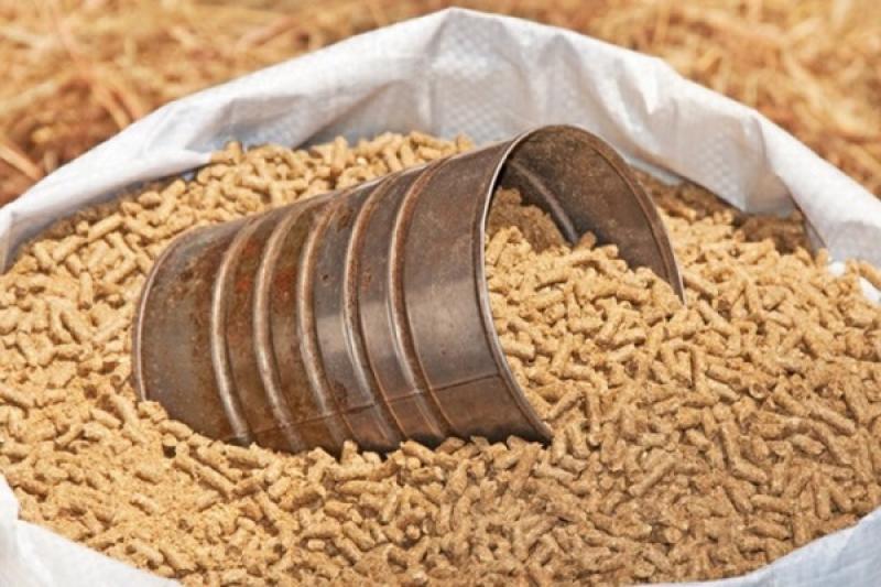 سعر العلف اليوم