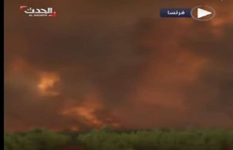 صورة من مقطع الفيديو