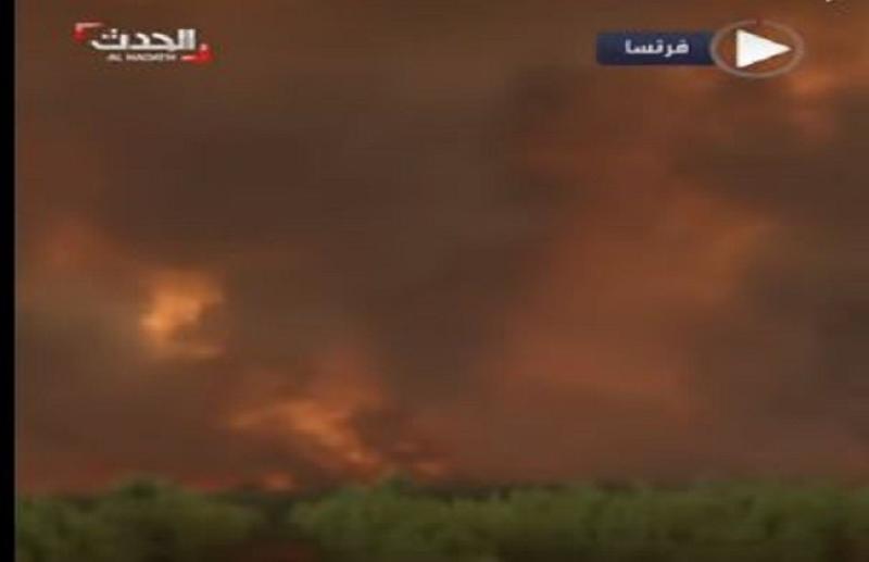 شاهد.. استمرار حرائق الغابات جنوب غرب فرنسا