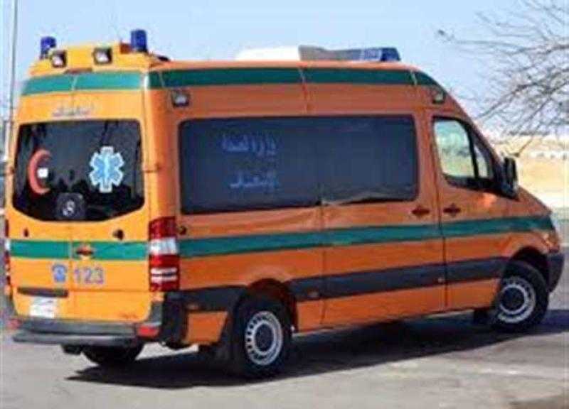 مريض نفسي يطعن شخصين بسكين في القناطر الخيرية