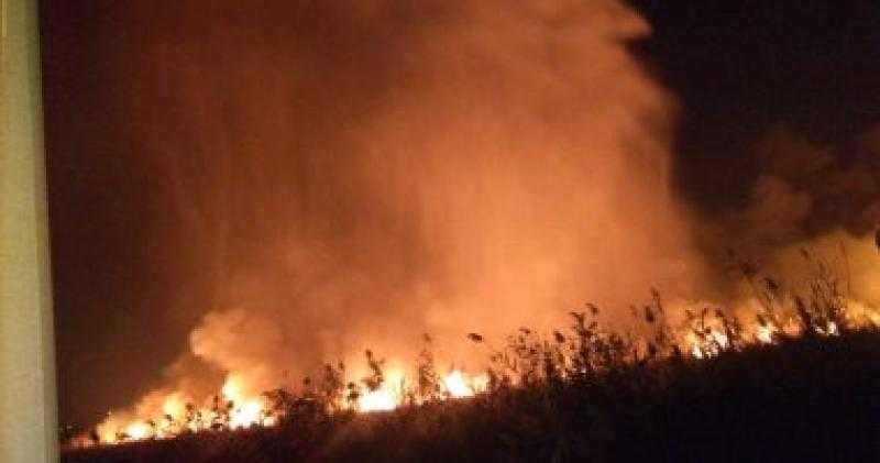 إخماد حريق نشب بأشجار ونخيل بالقرب من طريق صلاح سالم بالقاهرة