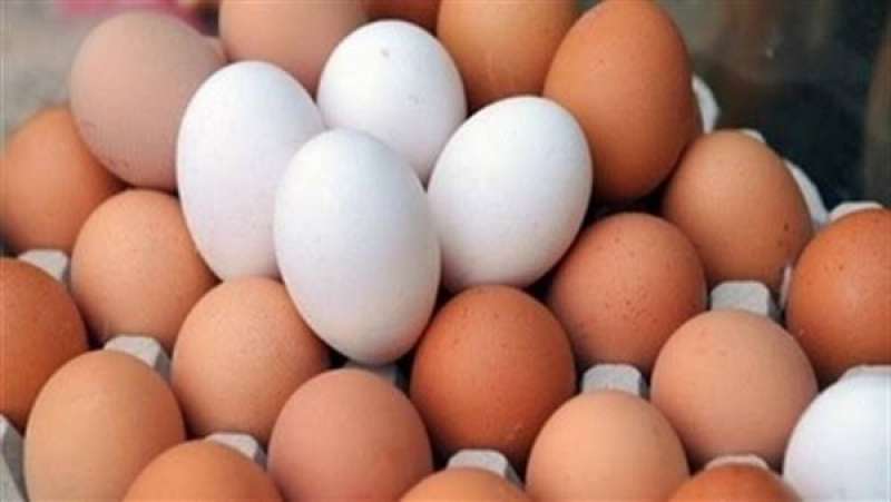اسعار البيض اليوم