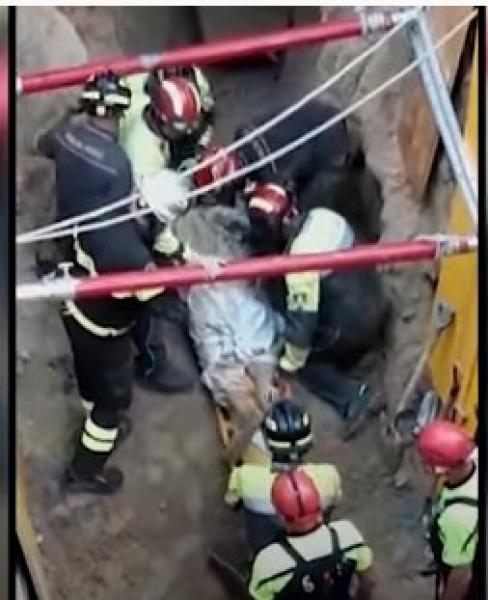 شاهد.. نهاية غير متوقعة لـ لص حفر خندقا لسرقة بنك