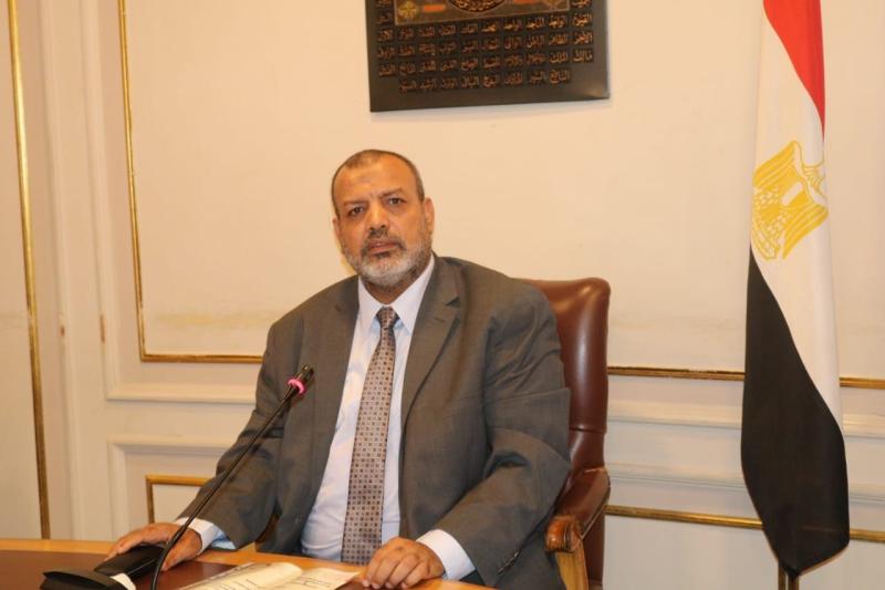 فوزي عبدالجليل: خطة «السيسي» لتعميق الصناعة ستقلل الاستيراد من الخارج