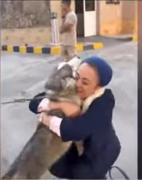 نهاد أبوالقمصان توثق لحظة خروج كلبها من المستشفى: الفرحة رجعتلنا تاني «فيديو»