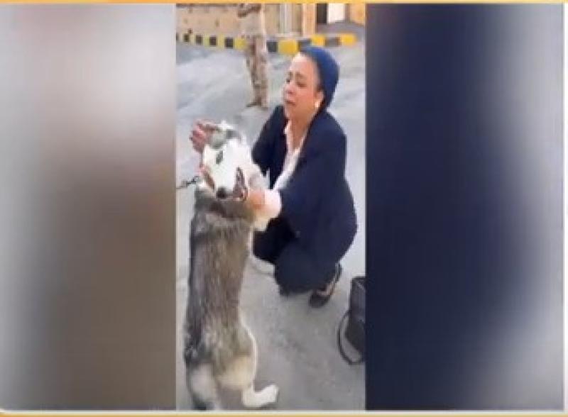 نهاد أبوالقمصان ترد على فيديو كلبها: انشغلت به بعد وفاة زوجي