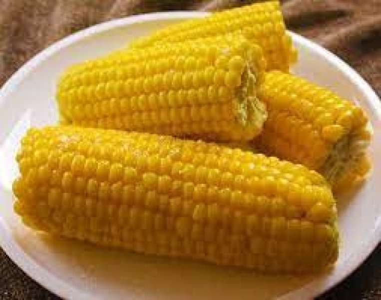 الذرة