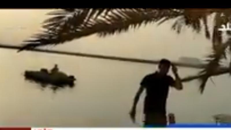 لماذا تحولت بحيرة فطناس بسيوة إلى بركة ملوثة ومقبرة للأسماك؟ - فيديو