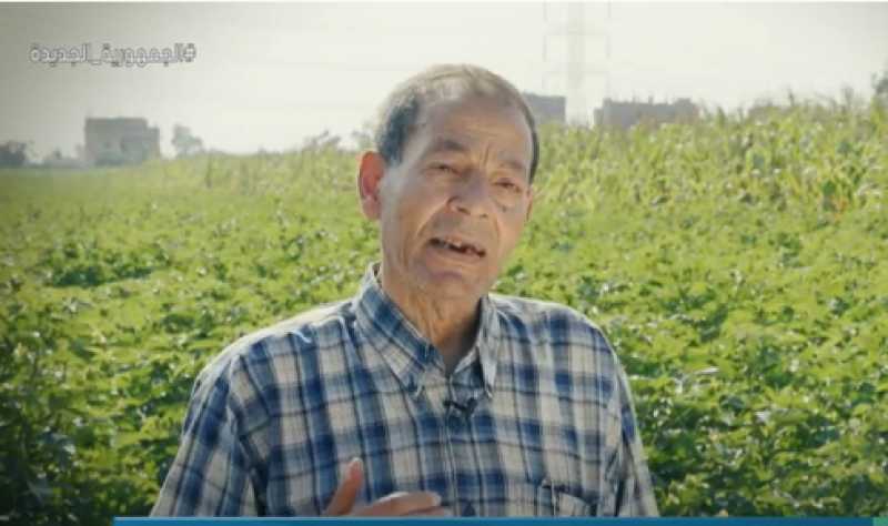 لأول مرة.. زراعة القطن بالشتل في القليوبية «فيديو»