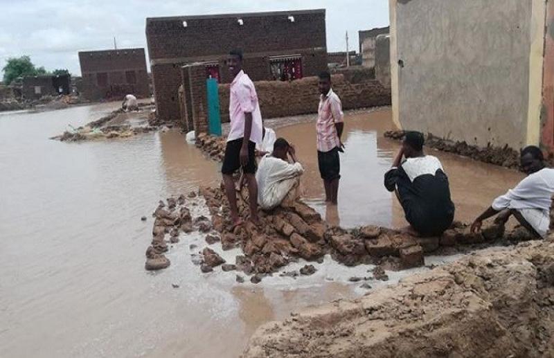 عضو مجلس السيادة السوادني: الوضع كارثي في ولاية الجزيرة