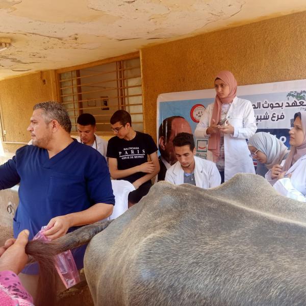 صحة الحيوان يشارك في قافلة بيطرية بالمنوفية وينظم دورات تدريبية لطلاب طب بيطري المنصورة 