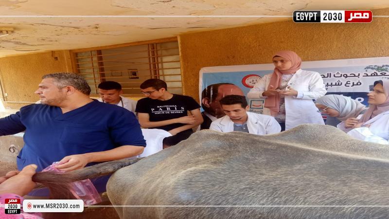 صحة الحيوان يشارك في قافلة بيطرية بالمنوفية وينظم دورات تدريبية لطلاب طب بيطري المنصورة 