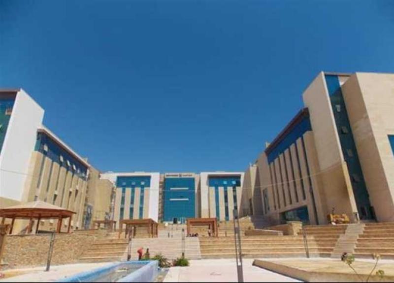 جامعة المنصورة الأهلية 