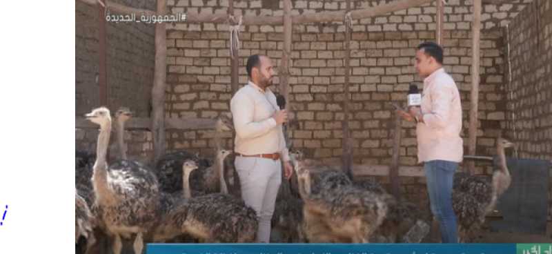 مصري يربي الغزلان والنعام بمنزله: «كيلو الريش بـ 1500 جنيه».. فيديو