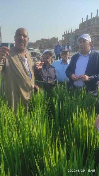 وزير الزراعة يتفقد حقل إرشادي بمحافظة الغربية لصنف الأرز الجديد سوبر 300