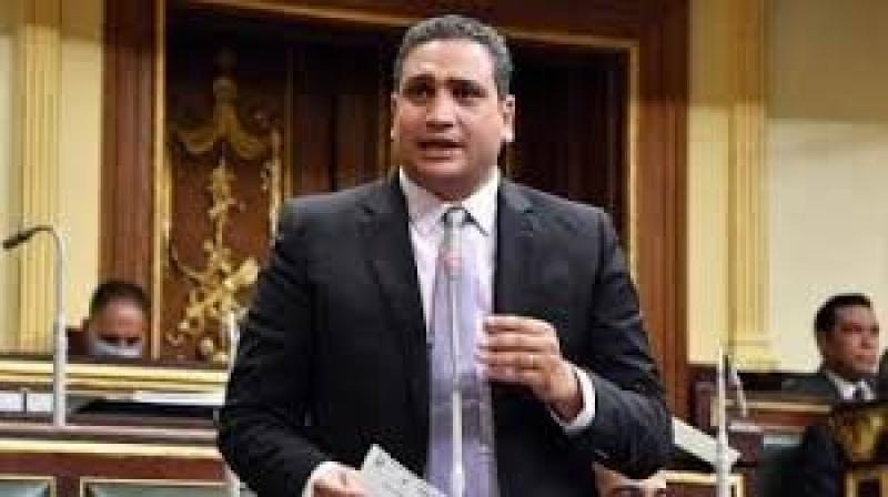 النشاط البرلماني لـ«نائب التنسيقية» عماد خليل خلال دور الانعقاد الثاني لمجلس النواب