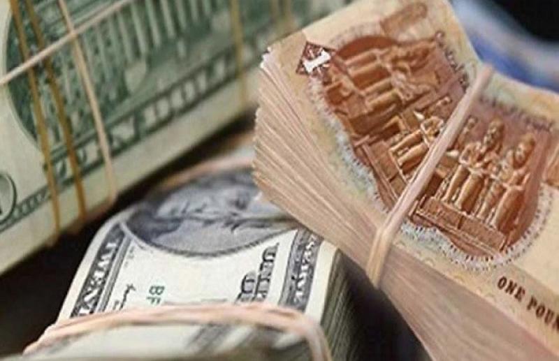 هل سيتم تعويم الجنيه مجددا؟.. خبير اقتصادي يوضح «فيديو»