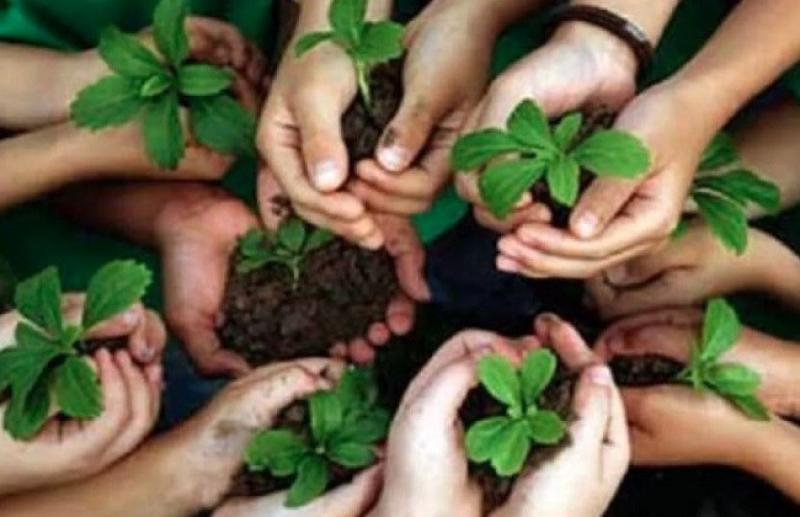 البيئة تكشف أهداف وأهمية مبادرة «اتحضر للأخضر» «فيديو»