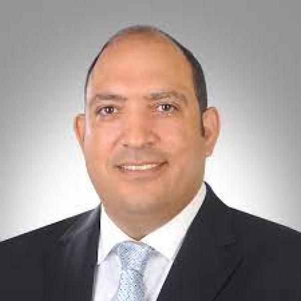  النائب محمد رشاد عثمان، عضو مجلس الشيوخ