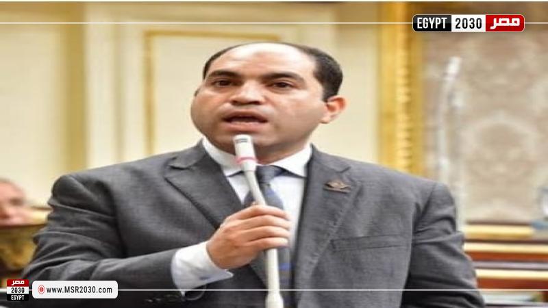 النائب عمرو درويش