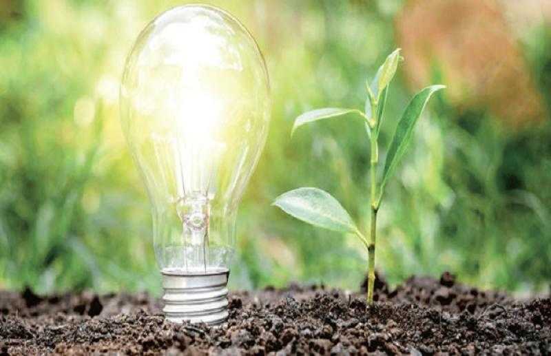 تعرف على آليات العمل بالكليات الخضراء - «فيديو»