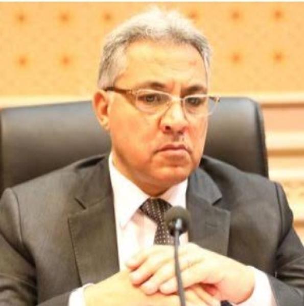 أحمد السجينى 
