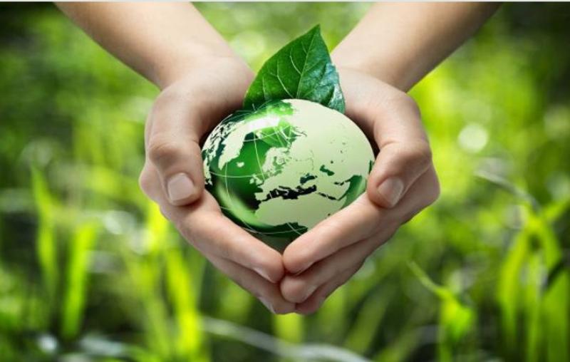 ننشر استعدادات «الكهرباء» لقمة المناخ COP 27 بشرم الشيخ