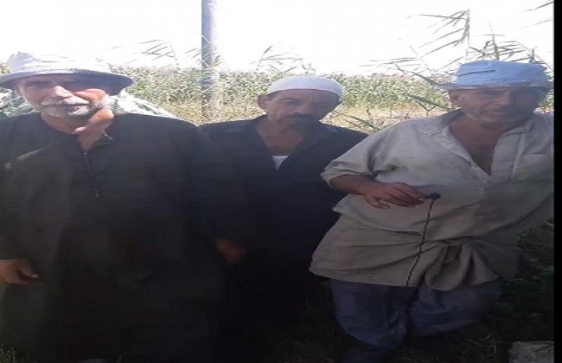 في أقل من 12 ساعة.. «الكهرباء» تستجيب لـ «مصر 2030» والفرحة تغمر الفلاحين بكفر الشيخ