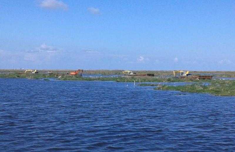 الثروة السمكية: «بحيرة المنزلة كانت ملجأ للخارجين عن القانون» - فيديو