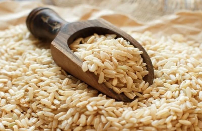 الزراعة: 150 نقطة لتجميع أرز الشعير من أنحاء الجمهورية «فيديو»