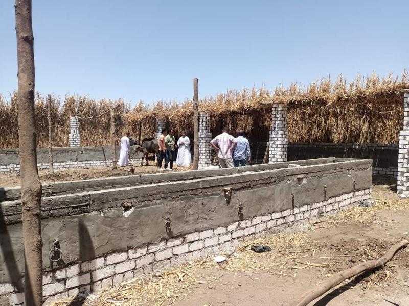 «محلي دشنا» يدشن حملات لإزالة التعديات على الأراضي الزراعية
