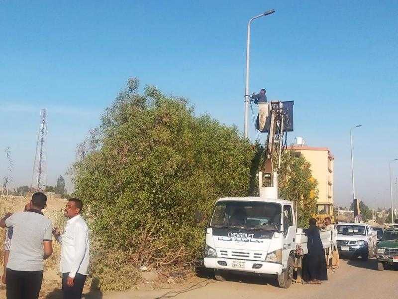 مذبحة للأشجار بمدينة نصر.. ومواطن: ”بتتحول لقاعات أفراح وأكشاك”