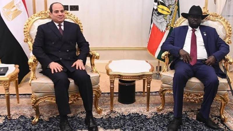 لماذا تريد جنوب السودان تعزيز علاقتها مع مصر؟.. فيديو