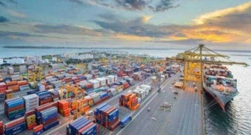 تصديرى الأغذية: 1.7 مليون طن حجم إنتاج مصر من التمور سنويًا