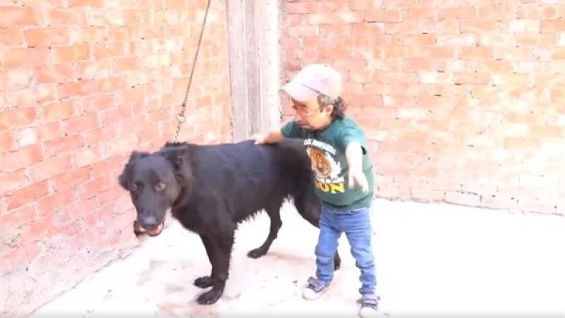 فنان شهير: «بعيش مع الحيوانات ومعنديش دخل بعد ما المنتجين نسيوني ومعاش أمي 500 جنيه»