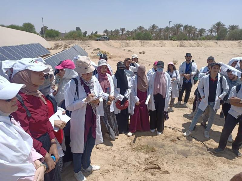 التدريب الصيفي لشباب الجامعات