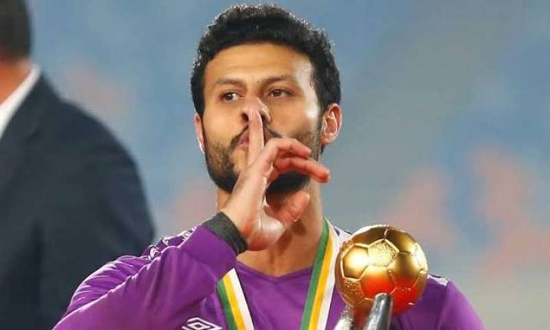 محمد الشناوي 