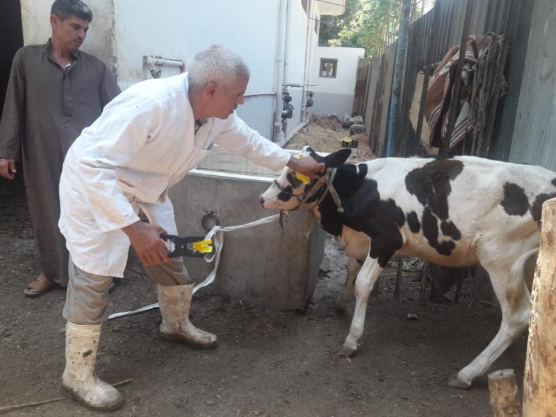 وزارة الزراعة 