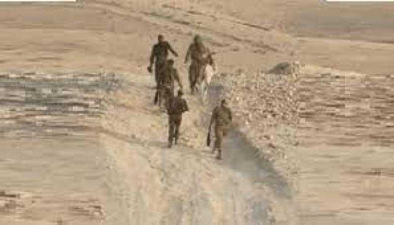 هل تصدق.. الجيش الإسرائيلي يعتقل حمارًا؟