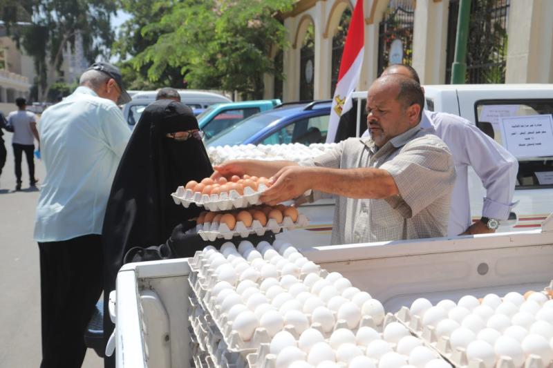 الزراعة تطرح كميات من بيض المائدة 