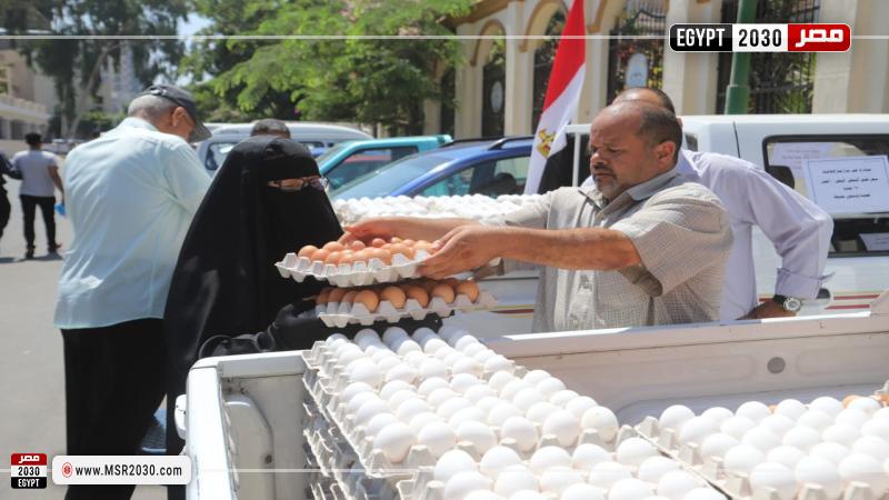 الزراعة تطرح كميات من بيض المائدة 