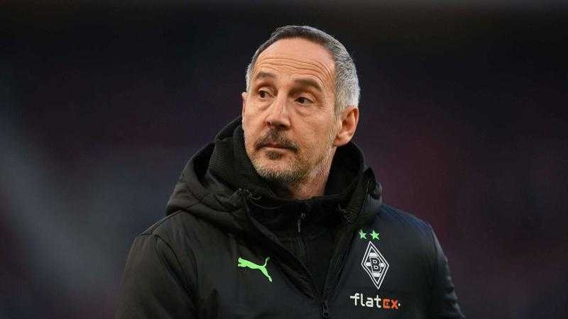 عرض من الاتحاد النمساوي يمنع هوتر من تدريب الأهلي «خاص»