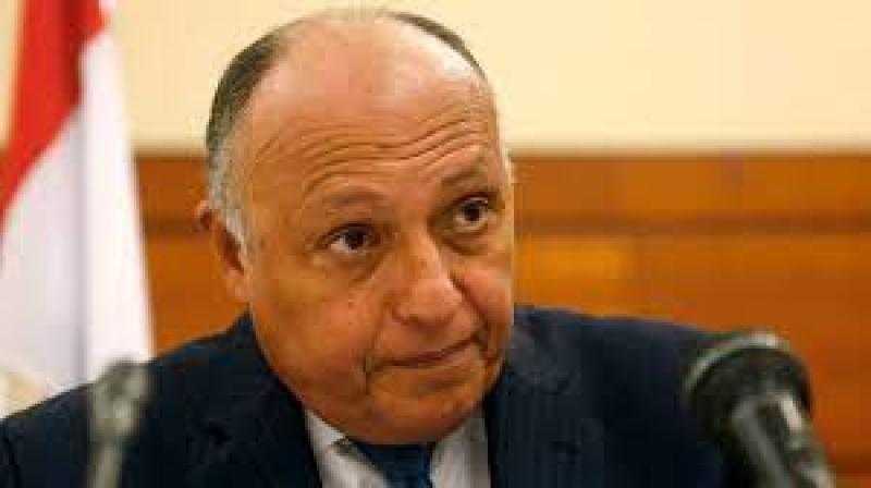 أول رد من الخارجية على مغادرة وفد مصر جلسة الجامعة العربية.. فيديو
