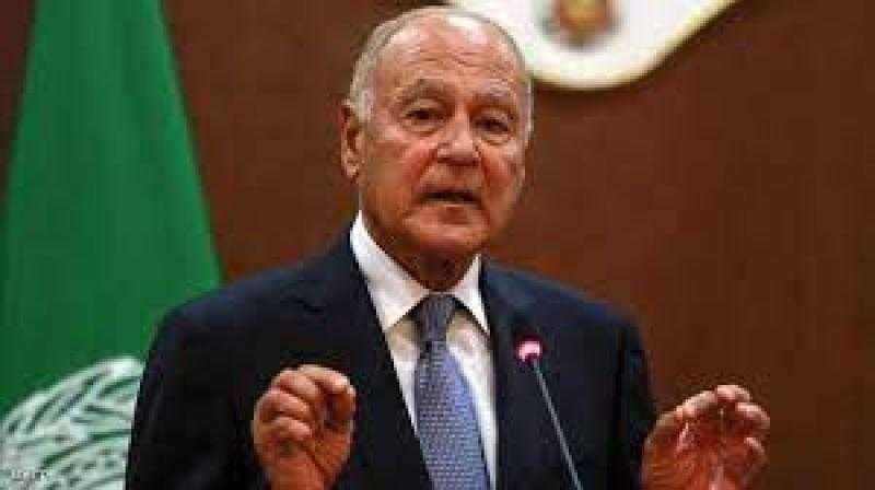 أبو الغيط: بلادنا تستهدف تحقيق المصالح العربية وتعزيزها.. فيديو