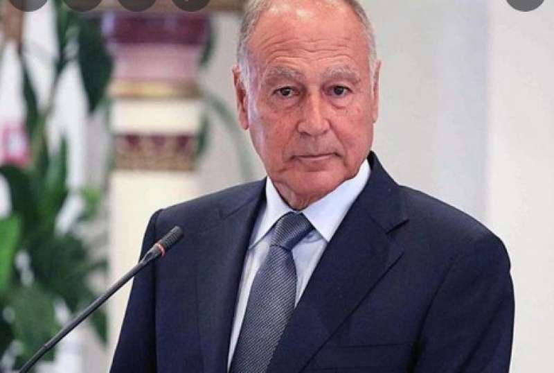 أحمد أبو الغيط