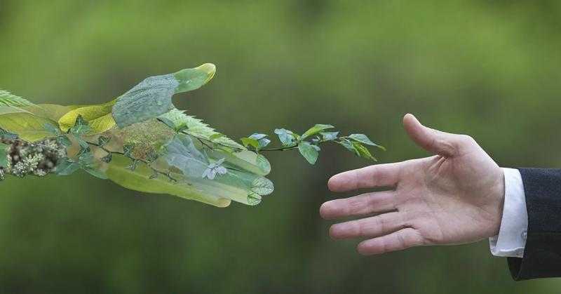 «اتحاد العمال» يعقد اليوم مؤتمر «الاقتصاد الأخضر»