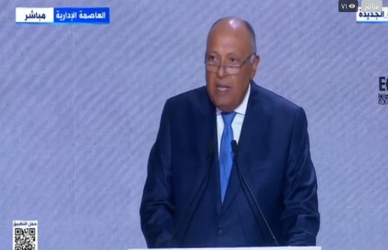 سامح شكري: «العالم يمر بتحديات كبرى»