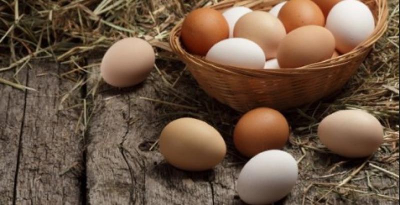 استشاري تغذية: غسل البيض بالماء ضار بالصحة «فيديو»