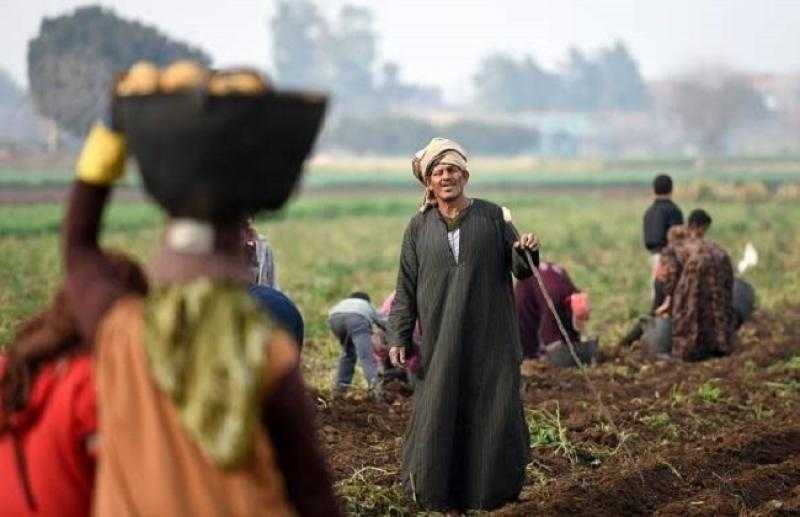 10 هدايا قدمها الرئيس السيسي للفلاحين في عيدهم.. تعرف عليها